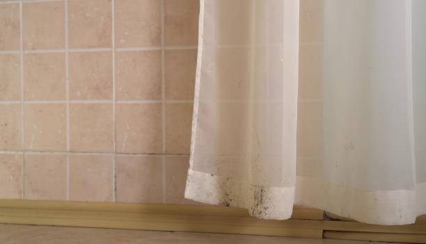 Best Mold Remediation for Healthcare Facilities  in Wauchula, FL