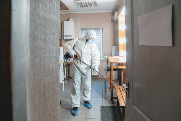 Best Emergency Mold Remediation  in Wauchula, FL
