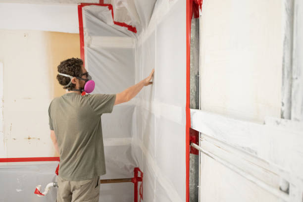 Best Mold Damage Restoration  in Wauchula, FL