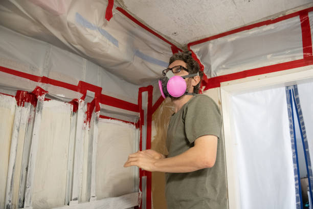 Best Comprehensive Air Testing for Mold Contaminants  in Wauchula, FL