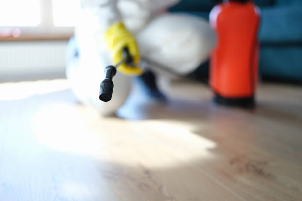 Best Mold Remediation for Rental Properties  in Wauchula, FL