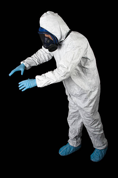 Best Environmental Consulting for Mold Prevention  in Wauchula, FL