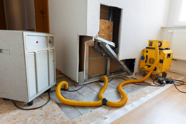 Best HVAC Mold Inspection and Cleaning  in Wauchula, FL