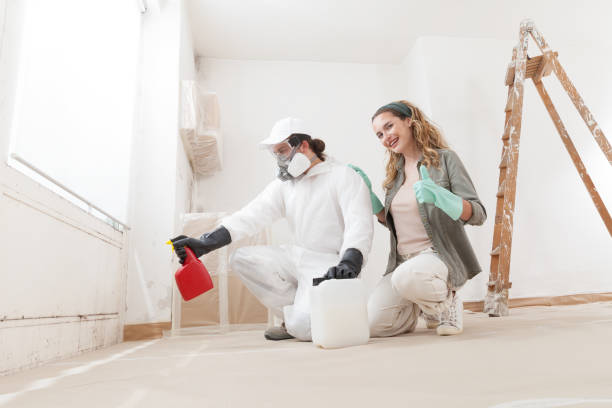 Best Dehumidification Services  in Wauchula, FL