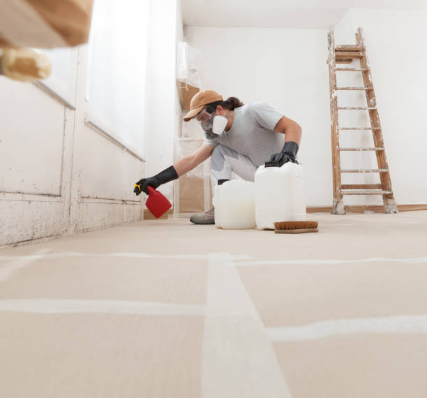 Best Real Estate Mold Inspection  in Wauchula, FL